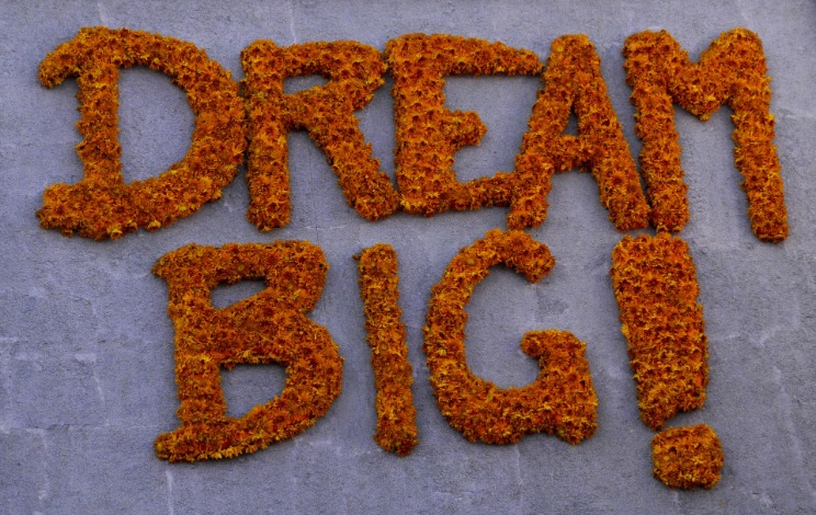 dream market darknet