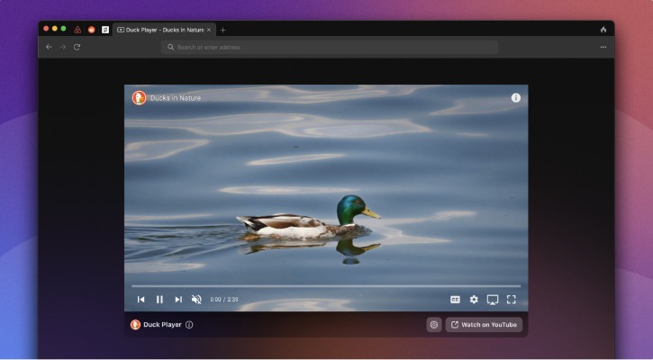 duckduckgo onion site