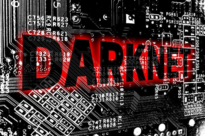 darknet market bust