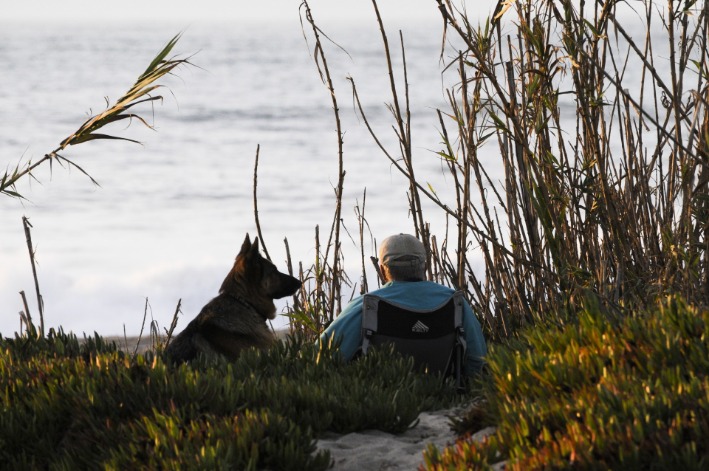 best darknet markets reddit