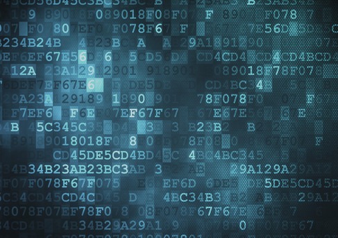 best darknet market 2026 reddit